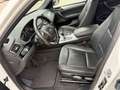 BMW X4 xDrive 20 d/Navi/HeadUp/Leder/Kamera/TOP Weiß - thumbnail 12