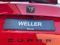 CUPRA Ateca 2.0 TSI 4Drive DSG *360°*Beats*Pano*el Heck* Rot - thumbnail 29