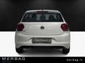 Volkswagen Polo 1.0 EVO 80 CV 5p. Comfortline BlueMotion Technolo Argento - thumbnail 4
