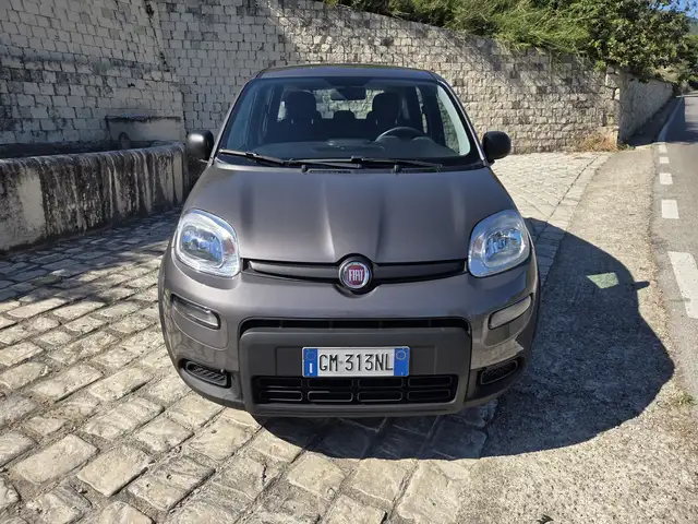 Fiat New Panda Icon