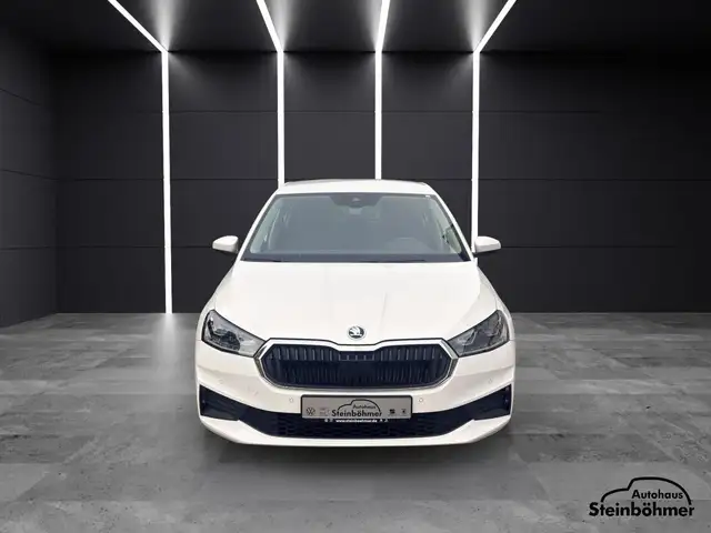 Skoda Fabia view 10