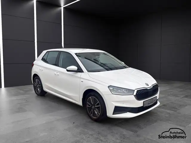 Skoda Fabia view 9