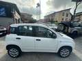 Fiat Panda 0.9 t.air t. natural power 80cv E6 subito disponib Bianco - thumbnail 4