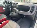 Fiat Panda 0.9 t.air t. natural power 80cv E6 subito disponib Bianco - thumbnail 10