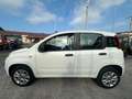 Fiat Panda 0.9 t.air t. natural power 80cv E6 subito disponib Bianco - thumbnail 3