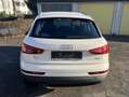 Audi Q3 Q3 2,0 TDI intro / mit ÖAMTC Kaufüberprüfung Weiß - thumbnail 5