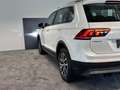 Volkswagen Tiguan BMT/Start-Stopp 4Motion*Oryx-Weiß Perlmut Weiß - thumbnail 12