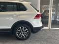 Volkswagen Tiguan BMT/Start-Stopp 4Motion*Oryx-Weiß Perlmut Weiß - thumbnail 11