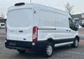 Ford Transit Kasten L2 / 1. Hand / Scheckheft / Klima Blanc - thumbnail 5