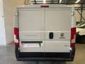 Fiat Ducato Fg. 35 3.0 Natural Power Medio Blanco - thumbnail 5