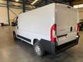 Fiat Ducato Fg. 35 3.0 Natural Power Medio Blanco - thumbnail 9