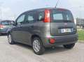 Fiat Panda Panda III 2021 1.0 firefly hybrid s Grigio - thumbnail 5