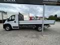 Fiat Ducato PRITSCHE MAXI 35 L2S 140MT Alb - thumbnail 8
