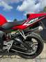 Yamaha YZF-R6 *Vivid Cocktail Red* @AelbrechtMotors Rojo - thumbnail 6