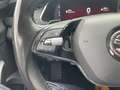 Skoda Octavia IV COMBI 2.0 TDI 150 BUSINESS DSG7 - ENTRETIEN CONSTRUCTEUR - thumbnail 24