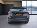 Skoda Octavia IV COMBI 2.0 TDI 150 BUSINESS DSG7 - ENTRETIEN CONSTRUCTEUR - thumbnail 19