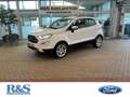 Ford EcoSport Titanium+Rückfahrkamera+Sitzheizung+Tempomat Weiß - thumbnail 1