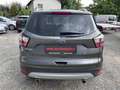 Ford Kuga Trend  1.5 Benzin Klima Servicebuch Pickerl 05/26 Grau - thumbnail 6