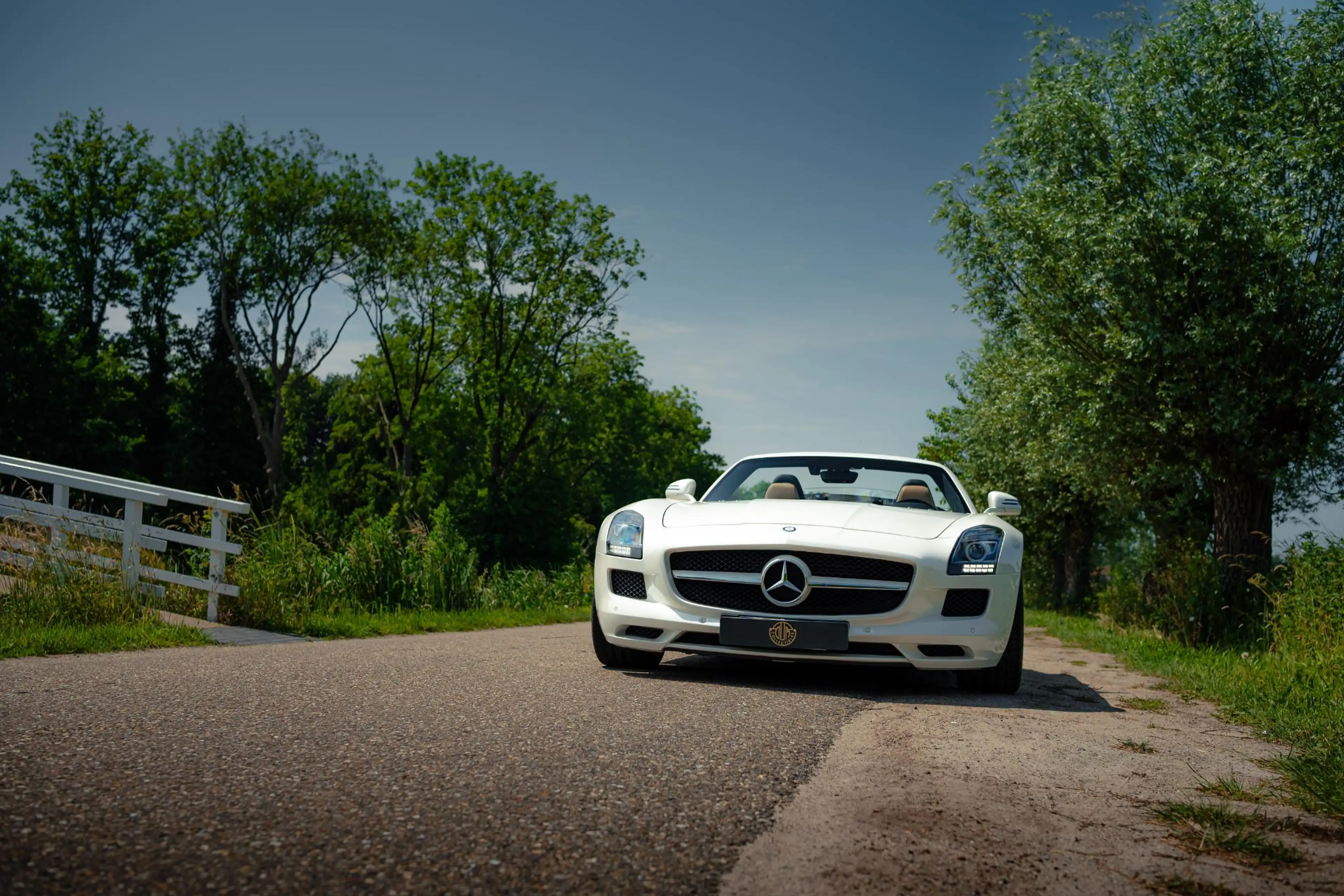 Mercedes-Benz SLS Roadster 6.3 AMG — photo 10