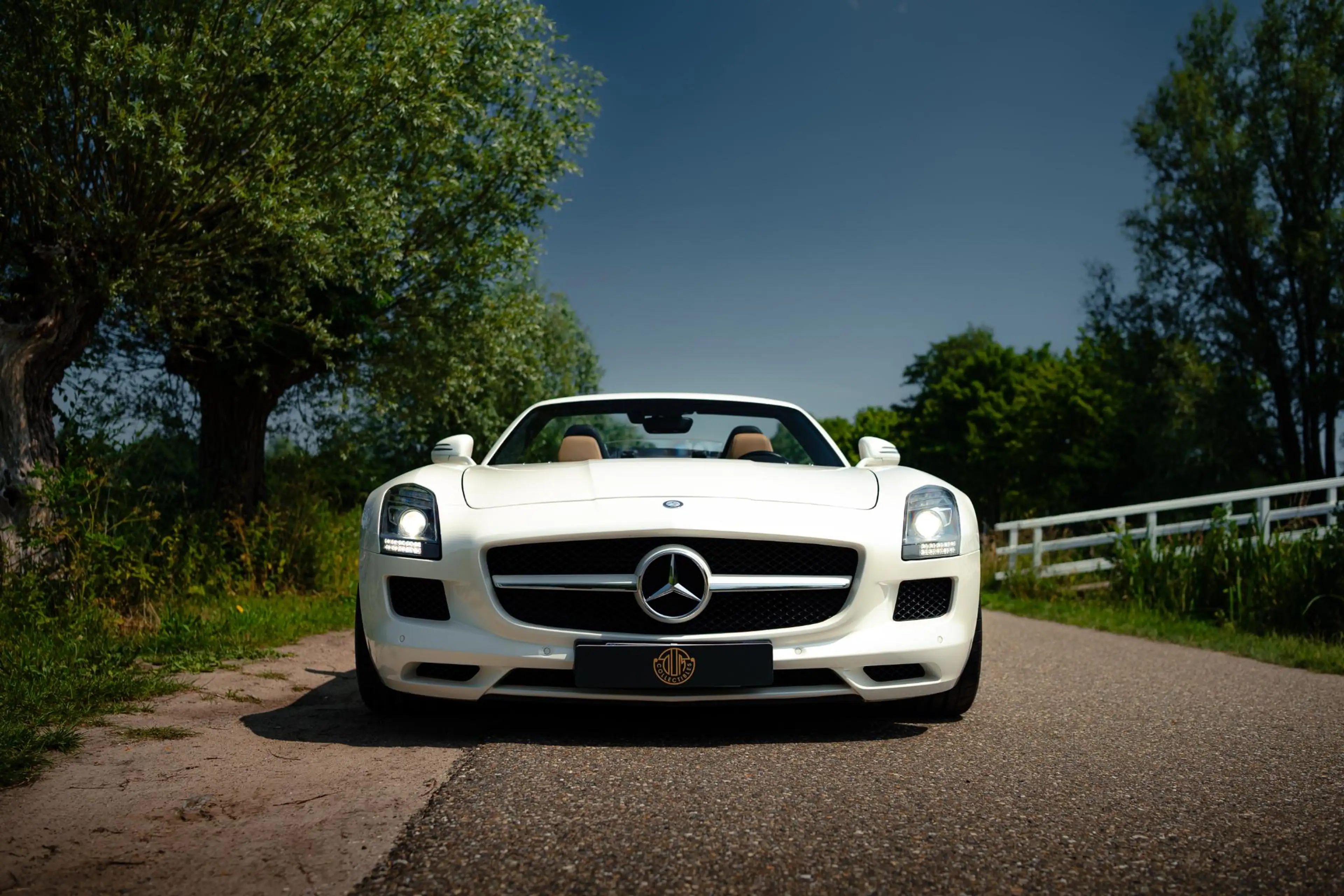 Mercedes-Benz SLS Roadster 6.3 AMG — photo 3