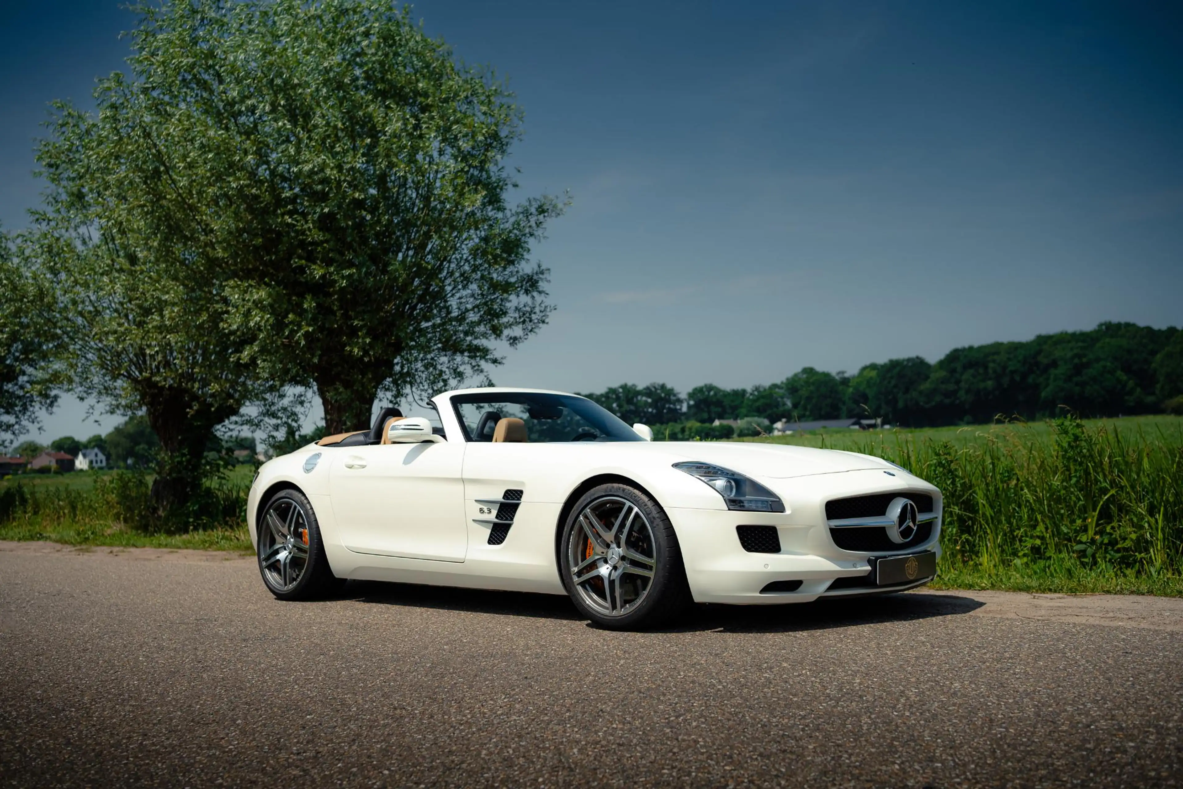 Mercedes-Benz SLS Roadster 6.3 AMG