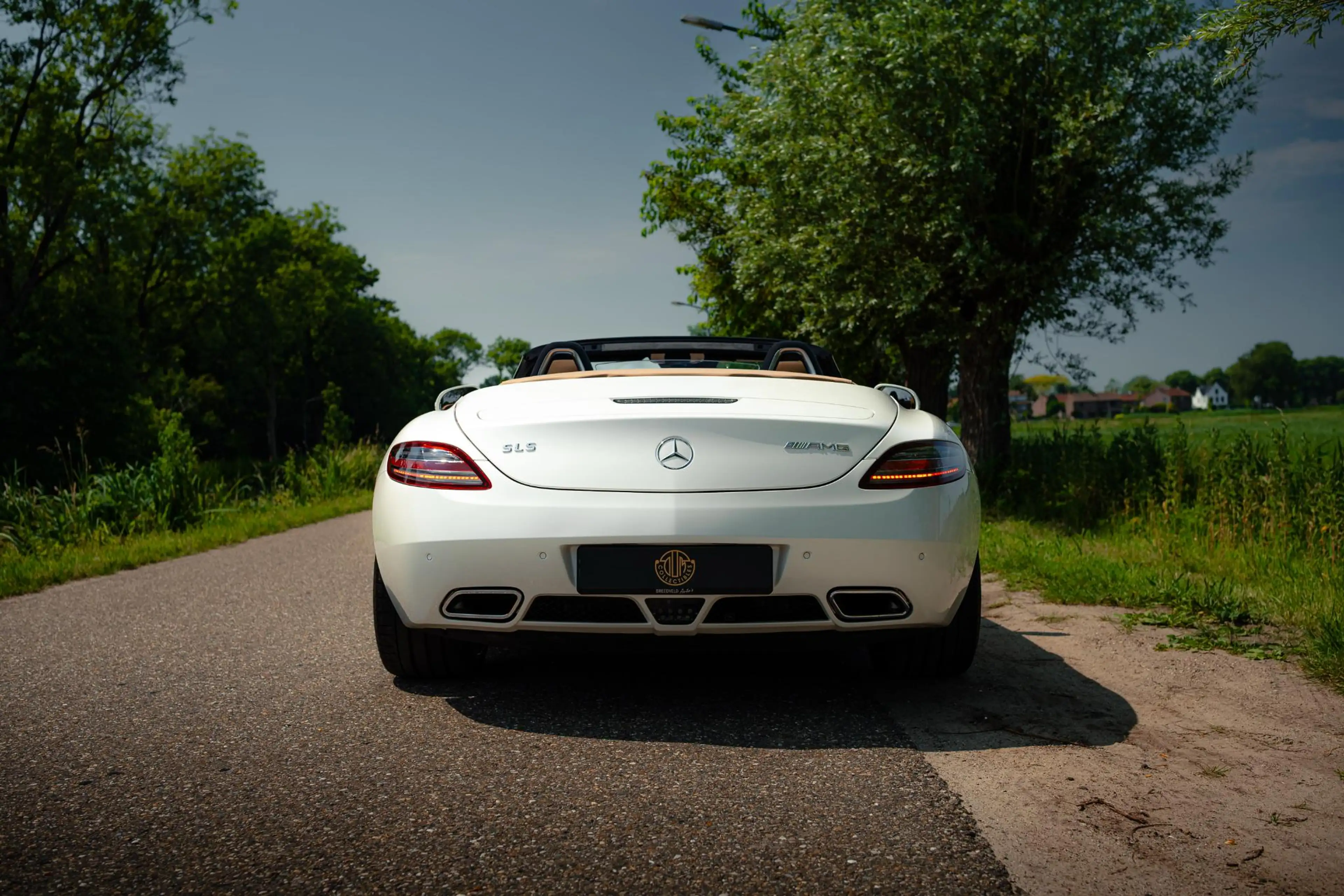 Mercedes-Benz SLS Roadster 6.3 AMG — photo 9