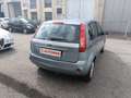 Ford Fiesta 5p 1.2 75cv Plus Grigio - thumbnail 6