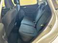 Ford Fiesta 5p 1.1 Connect Gpl s&s *OK NEOPATENTATI* Bianco - thumbnail 9
