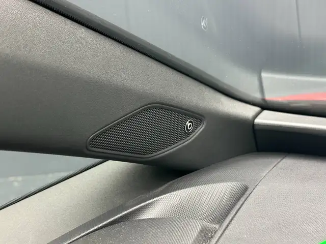 CUPRA Born view 17