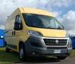 Fiat Ducato 2..3 Multijet 2 130 cv Giallo - thumbnail 2