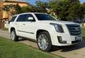 Cadillac Escalade Platitum Alb - thumbnail 14