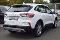 Ford Kuga COOL&CONNECT 2.5l PHEV AHK abn.,Winter-Pake Weiß - thumbnail 2
