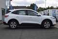 Ford Kuga COOL&CONNECT 2.5l PHEV AHK abn.,Winter-Pake Weiß - thumbnail 8