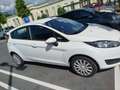 Ford Fiesta Fiesta Trend 1,25 Trend Weiß - thumbnail 2