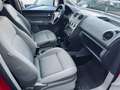 Volkswagen Caddy 2.0 TDI Life*SHZ*AHK*KLIMA*ALLWETTER*ALU Rojo - thumbnail 12