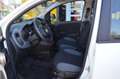 Fiat Panda Urban Hybrid 1.0 GSE/Klima/Radio/Bluetooth Weiß - thumbnail 8