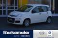 Fiat Panda Urban Hybrid 1.0 GSE/Klima/Radio/Bluetooth Weiß - thumbnail 1