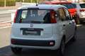 Fiat Panda Urban Hybrid 1.0 GSE/Klima/Radio/Bluetooth Weiß - thumbnail 4