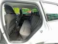 Skoda Karoq Ambition  Neues Modell App Co. Navi PDC 1H Blanc - thumbnail 13