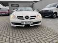 Mercedes-Benz SLK 200 SLK 200 Kompressor (171.445) Fehér - thumbnail 2