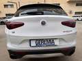 Alfa Romeo Stelvio 2.2 Turbodiesel 210 CV AT8 Q4 Business Bianco - thumbnail 5