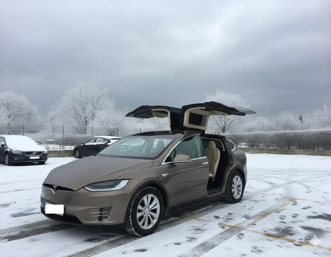 Tesla Model X X 90D Braun - 1