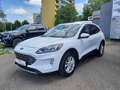 Ford Kuga 1,5 EcoBlue Titanium Weiß - thumbnail 2