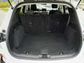 Ford Kuga 1,5 EcoBlue Titanium Weiß - thumbnail 5