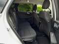 Ford Kuga 1,5 EcoBlue Titanium Weiß - thumbnail 6