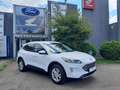 Ford Kuga 1,5 EcoBlue Titanium Weiß - thumbnail 1