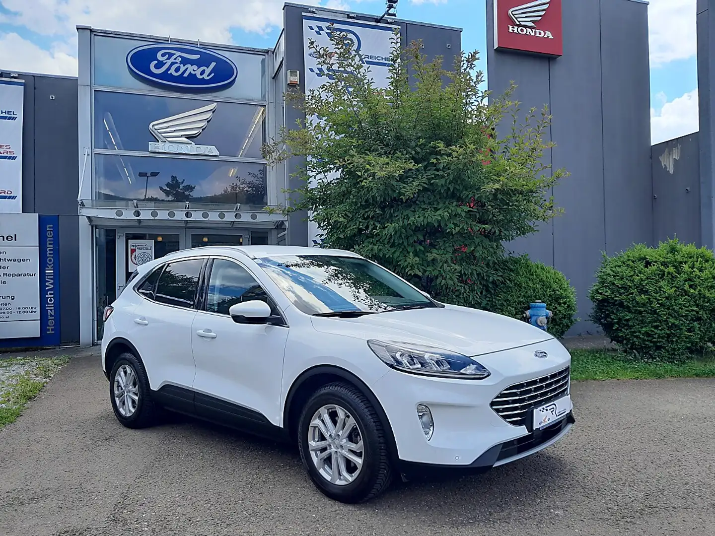 Ford Kuga 1,5 EcoBlue Titanium Weiß - 1