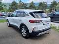 Ford Kuga 1,5 EcoBlue Titanium Weiß - thumbnail 3