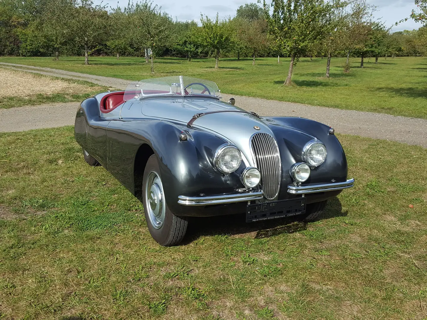 Jaguar XK XK120 in Le Mans Ausführung - 2