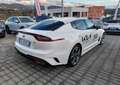 Kia Stinger Stinger 3.3 t-gdi GT awd 366cv auto my18 Bianco - thumbnail 5